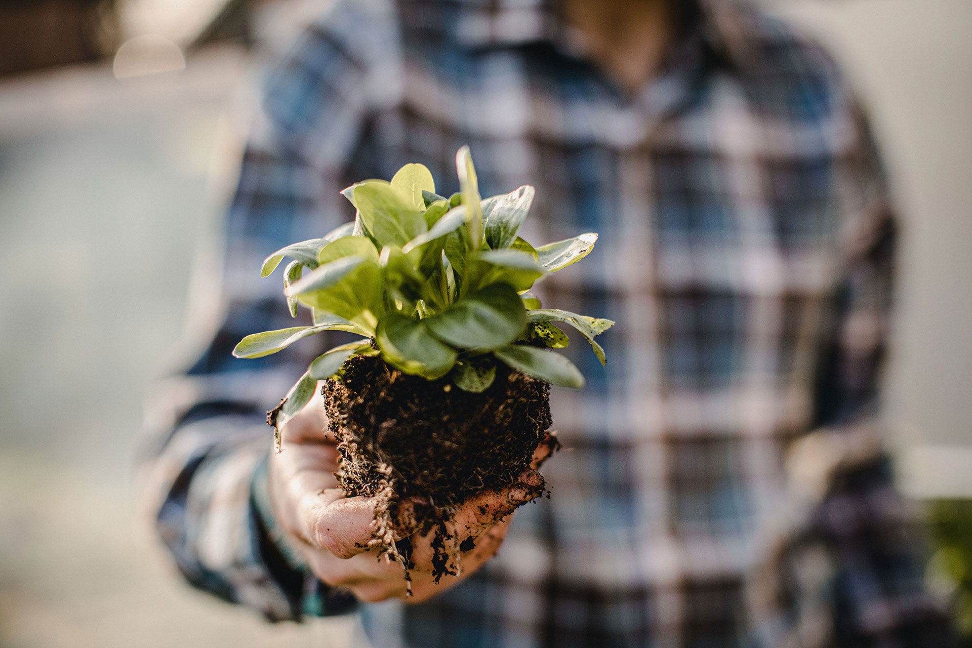 BLOCK Gardenshop - Wir setzen auf Nachhaltigkeit